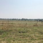 Development land for sale in Dunnottar